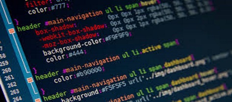 Web Development